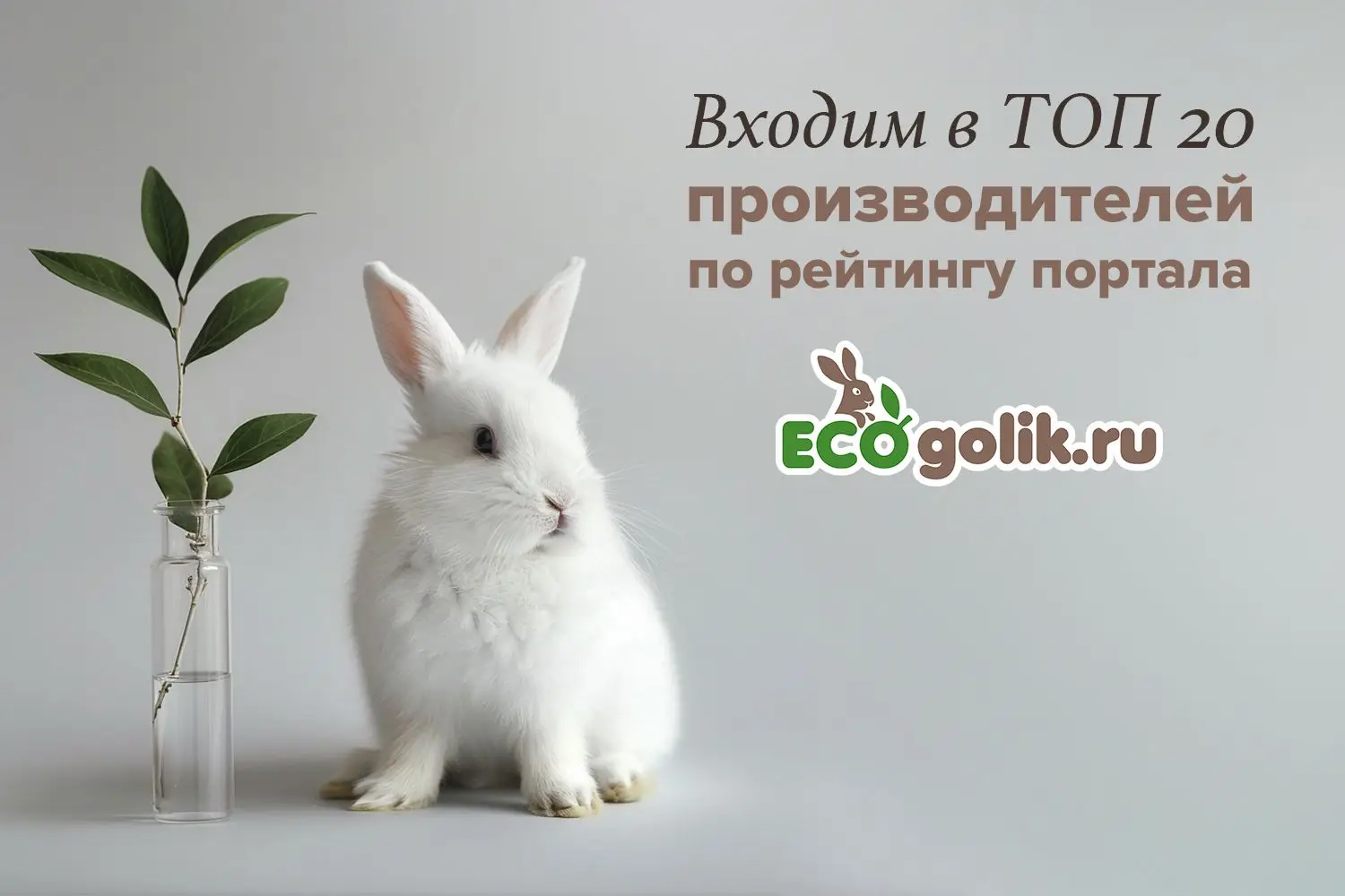 Баннер №4
