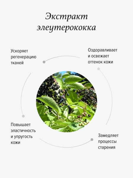 REALGREEN Крем для рук Элеутерококк (тонизирующий), 100 мл
