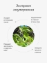 REALGREEN Крем для рук Элеутерококк (тонизирующий), 100 мл
