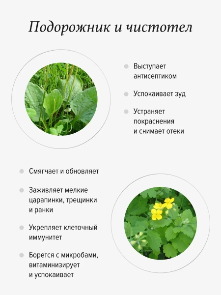REALGREEN Крем для ног "Приморские травы" (смягчающий), 100 мл