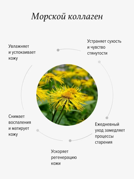 REALGREEN Крем для лица с девясилом "Приморские травы", 50 мл