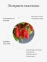 REALGREEN Крем для рук Лимонник (осветляющий), 100 мл