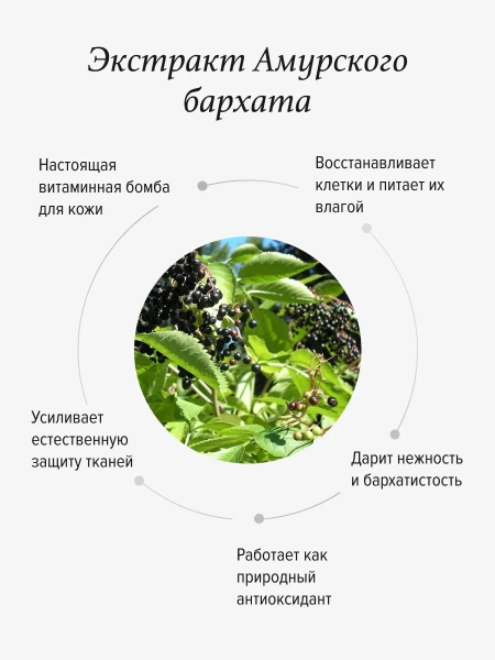 REALGREEN Крем для рук "Амурский бархат" (восстанавливающий), 100 мл